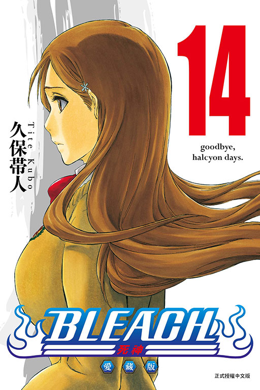 BLEACH死神 愛藏版(14)